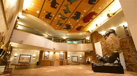 Museum of wildlife art jackson - Consistently ranked as one of Jackson Hole’s top attractions, the National Museum of Wildlife Art is built into a hillside overlooking the National Elk Refuge. This world-class museum holds more than 5,000 artworks …